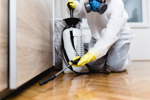 Best Termite Control Services  in Graymoor Devondale, KY