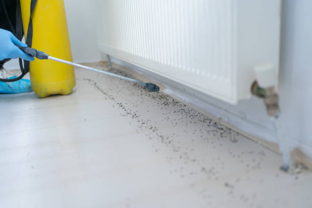 Best Affordable Pest Control Services  in Graymoor Devondale, KY